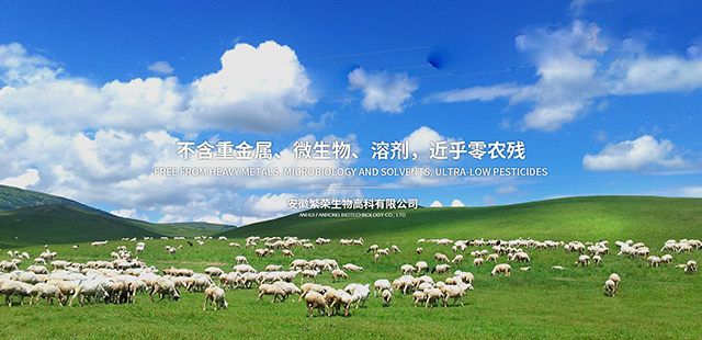 安徽繁荣生物高科有限公司