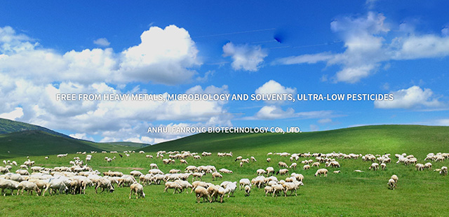 Anhui Fanrong Biotechnology Co., Ltd. 